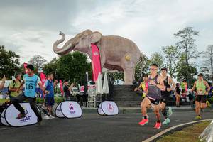 BIB: 
                            <button type="button" onclick="openModal(26528261)" class="btn btn-primary btn-sm float-right btn-popup" data-toggle="modal" data-target=".modal-high-quality">
                        <i class="fas fa-shopping-cart"></i> Add to Cart
                    </button>
                                            <button type="button" onclick="isThisMe(26528261, true)" class="btn btn-success btn-sm float-right btn-popup btn-isme hidden" data-toggle="tooltip" data-placement="bottom" title="นี่คือรูปของคุณใช่ไหม คลิกที่นี่เพื่อเอาเข้าอัลบั้ม">
                        <i class="fas fa-plus"></i> Add to album
                    </button>
                    <button type="button" onclick="isThisMe(26528261, false)" class="btn btn-warning btn-sm float-right btn-popup btn-isnotme hidden">
                        <i class="fas fa-ban"></i> Remove from album
                    </button>